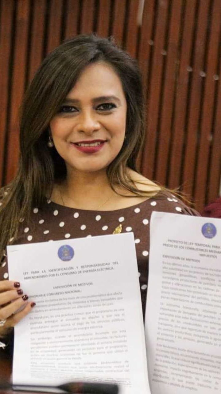 Proponen ley para evitar que propietarios de viviendas paguen deudas de luz de inquilinos