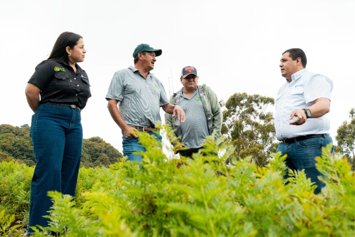 En el marco de sus 18 años, De Mi Tierra impulsa iniciativas para fortalecer el futuro del agro hondureño En el marco de sus 18 años, De Mi Tierra impulsa iniciativas para fortalecer el futuro del agro hondureño