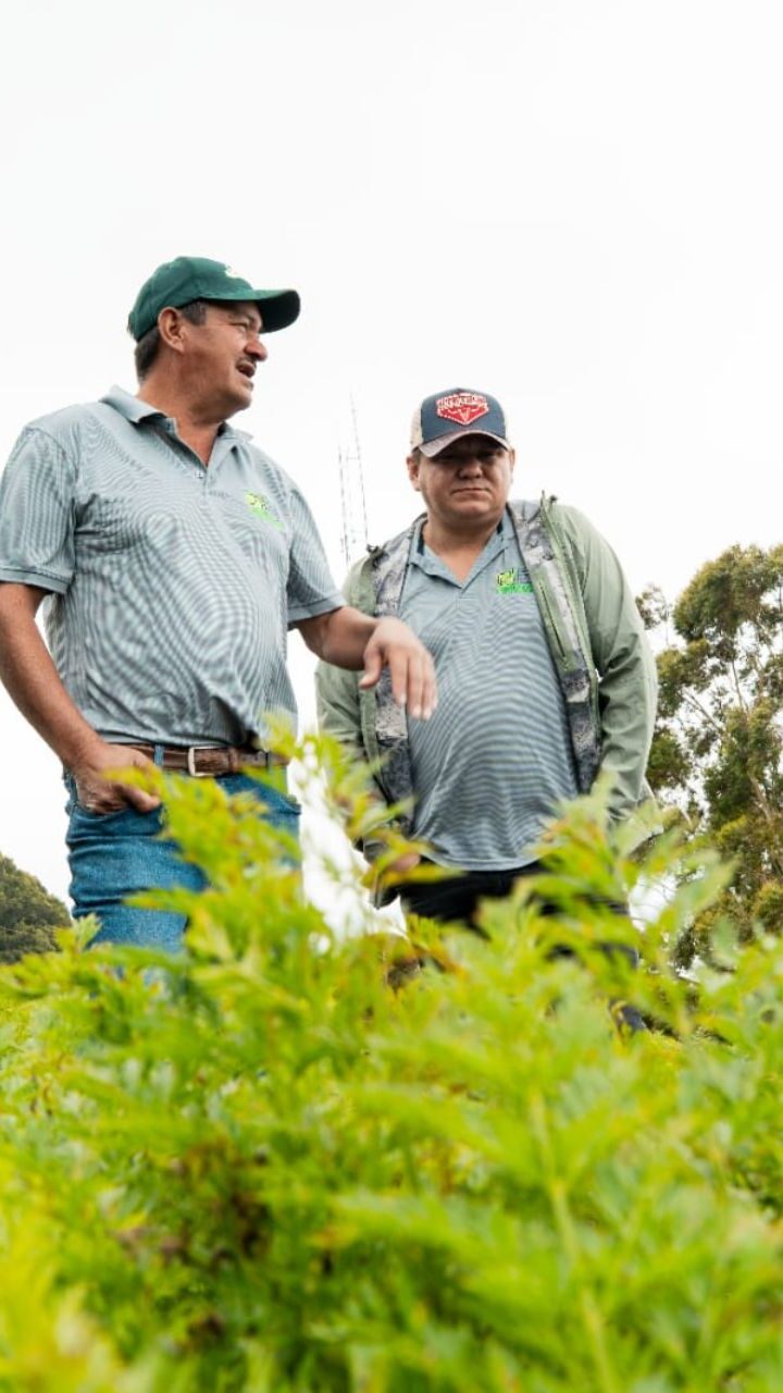 En el marco de sus 18 años, De Mi Tierra impulsa iniciativas para fortalecer el futuro del agro hondureño