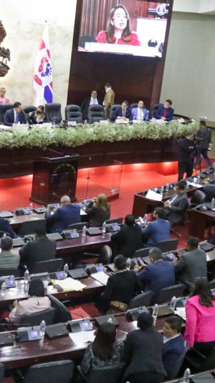 Congreso dice que Ley de Prevención al Embarazo Adolescente no cumplió norma constitucional