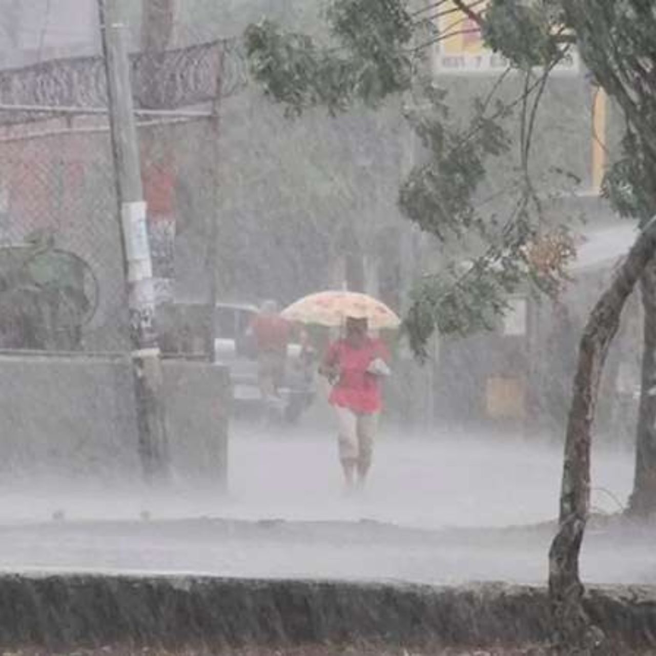 Alcaldía reporta 59 incidentes por lluvias en la capital y mantiene albergue habilitado