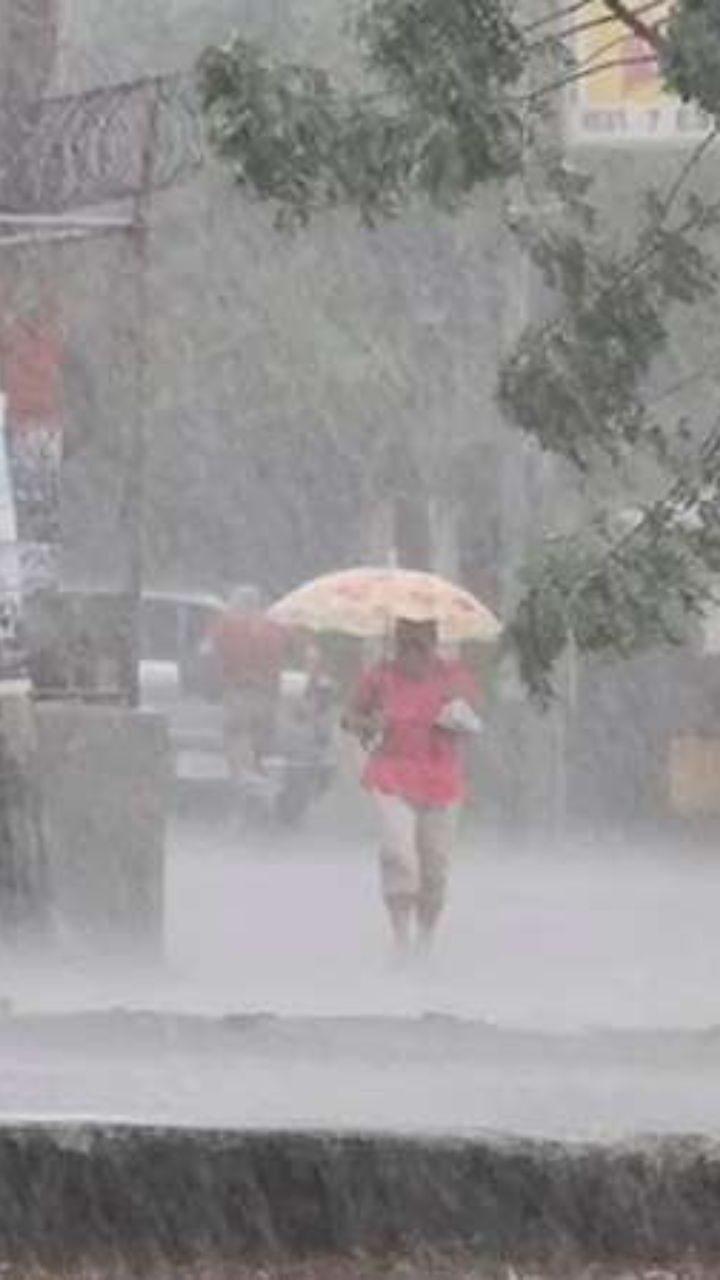 Alcaldía reporta 59 incidentes por lluvias en la capital y mantiene albergue habilitado