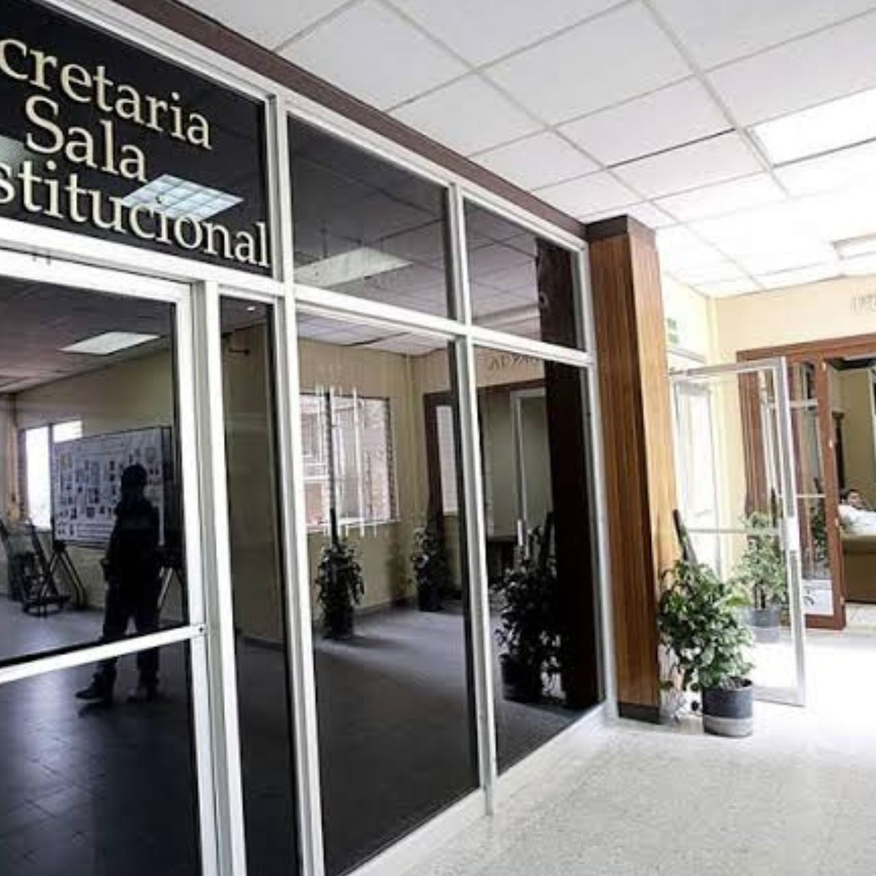 Colegio Médico lleva a la Sala Constitucional la Ley de Reactivación Económica